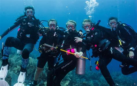 scubasquad of|Scuba Squad